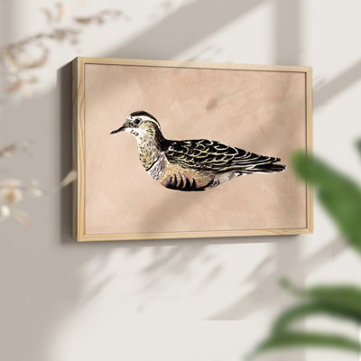 «Feathered Friend III», reproduction encadrée