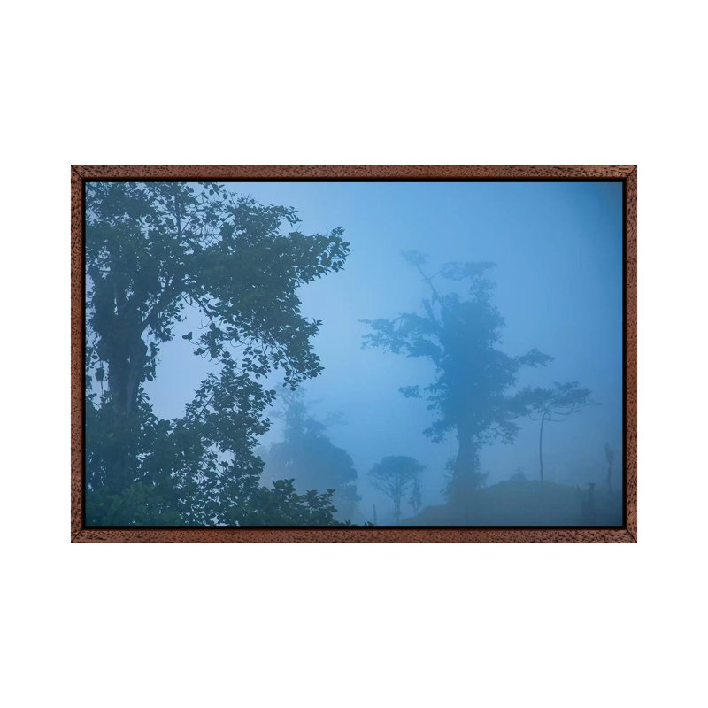 Blue Hour In The Andes by Mark Paulda - Print on Canvas, 45.72cm H x 66.04cm W x 3.81cm D, Classic Brown Wood Floater Framed