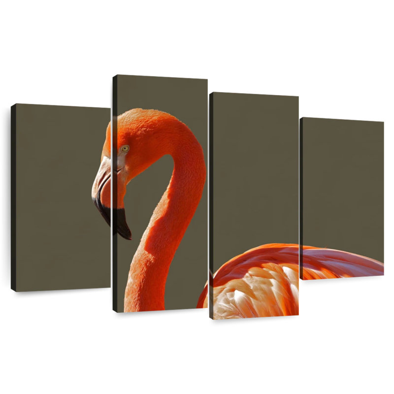 Brampt superbe flamant orange, H 22 po x l 36 po