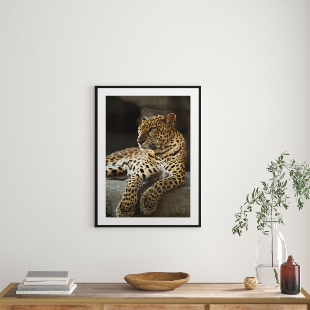 Gerahmtes Poster Majestätischer Leopard