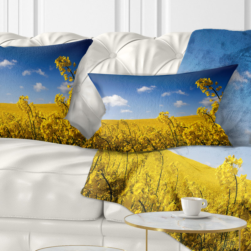 Coussin lombaire Photographie