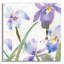 «Irises» par Sheila Golden, art mural en verre acrylique, 12 po x 12 po-1145545