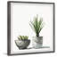 Spiky Succulent by Parvez Taj - Single Picture Frame Painting-699855271