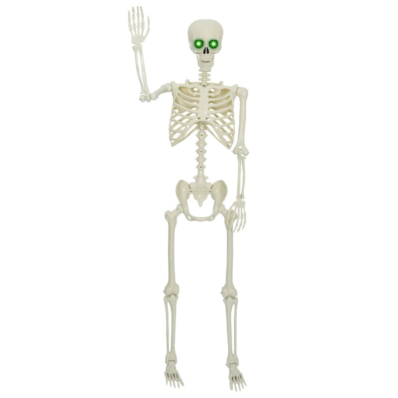 Halloween Skeleton White Plastic
