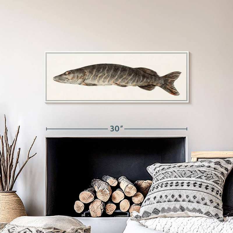 Brochet, Floating Frame White, 31 po x 11 po