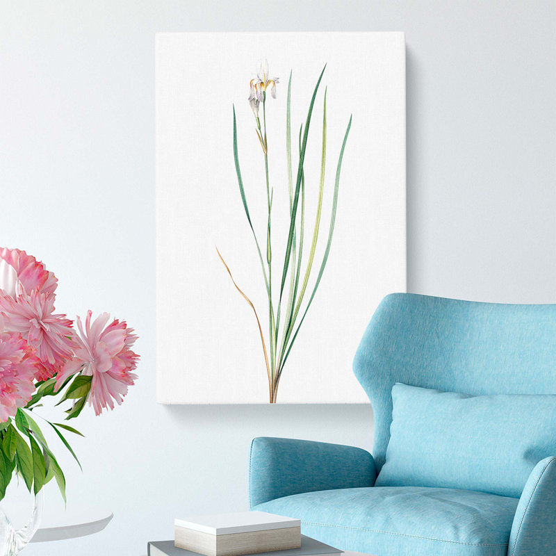 Siberian Iris Flower by Pierre-Joseph Redoute - Wrapped Canvas, 76cm H x 50cm W x 3cm D