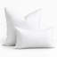 Coussin décoratif en duvet d'oie et en duvet, 95% plumes et 5% en duvet, coussin décoratif moelleux-108994947-108994944