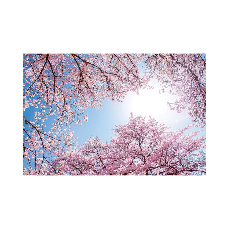 Cherry Blossom In Spring by Jan Becke - Wrapped Canvas Print, 20.32 cm H x 30.48 cm W