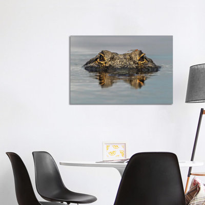 American Alligator From Eye Level With Water, Myakka River State Park, Florida by Adam Jones - Gallery-Wrapped Canvas Giclée on Canvas