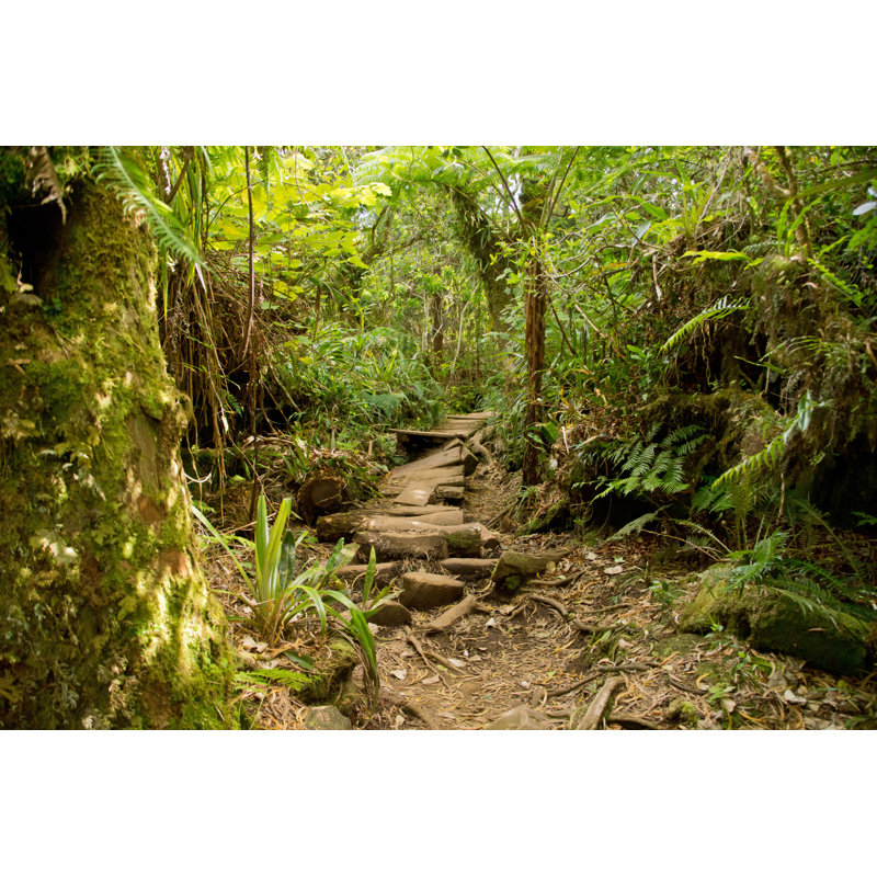 Delucia Trails In Reunion - Wrapped Canvas Print, 20cm H x 30cm W x 3.8cm D
