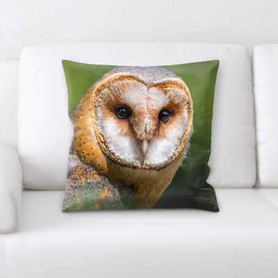 Coussin de grange hibou