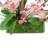25 " Plastic and Polysilk Orchid Arrangement