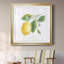 Lemon Fresh II - Reproduction d'art sur papier encadré-626811818-626811817