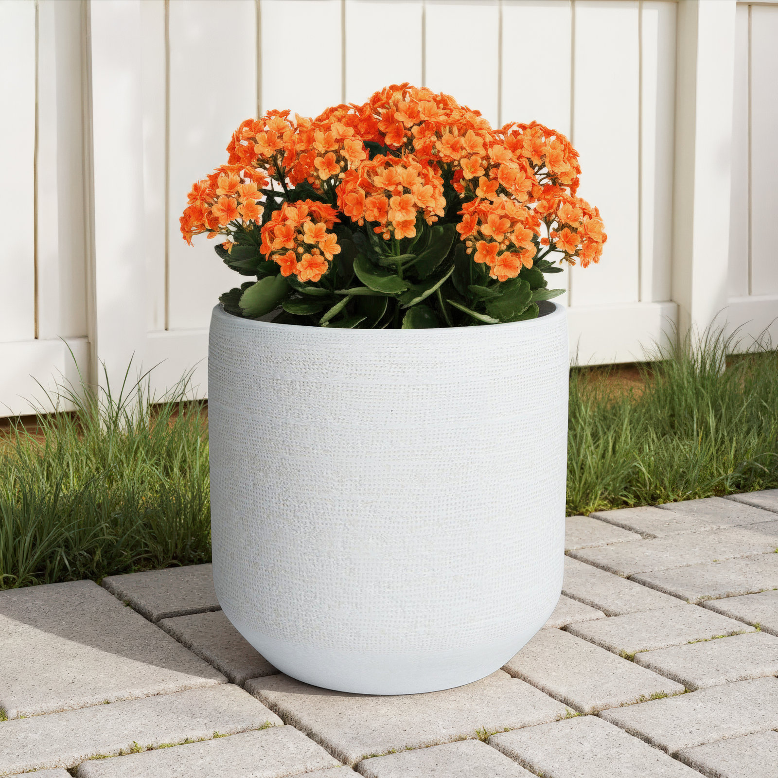 Bena 15" Ceramic Pot Planter, 13.5" H x 14.75" W x 14.75" D
