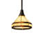 Luminaire suspendu 1 lumière à une cloche