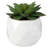 4.3'' Faux Succulent in Ceramic Pot