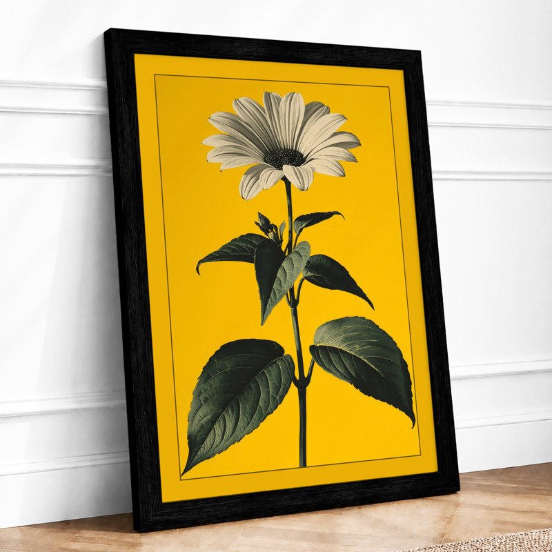 Golden Daisy Botanical - Framed Print, A4 - 29.7 x 21.0 cm, Black