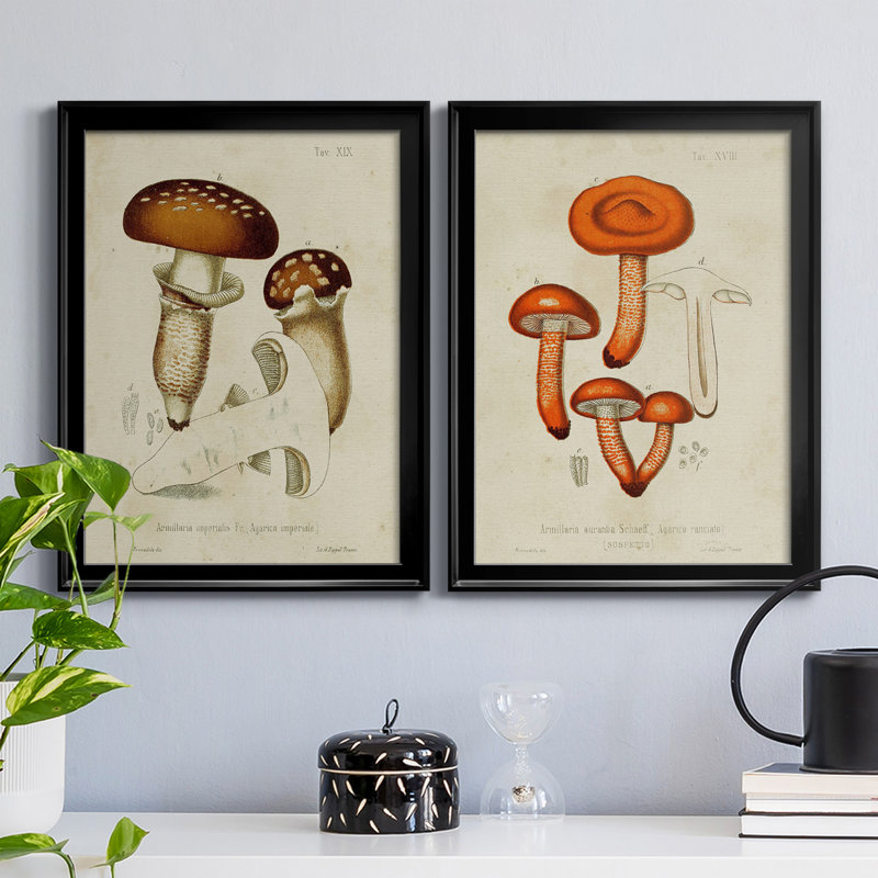 «Mushroom Variétés III», reproduction encadrée de qualité supérieure - prête à être accrochée, Cadre noir