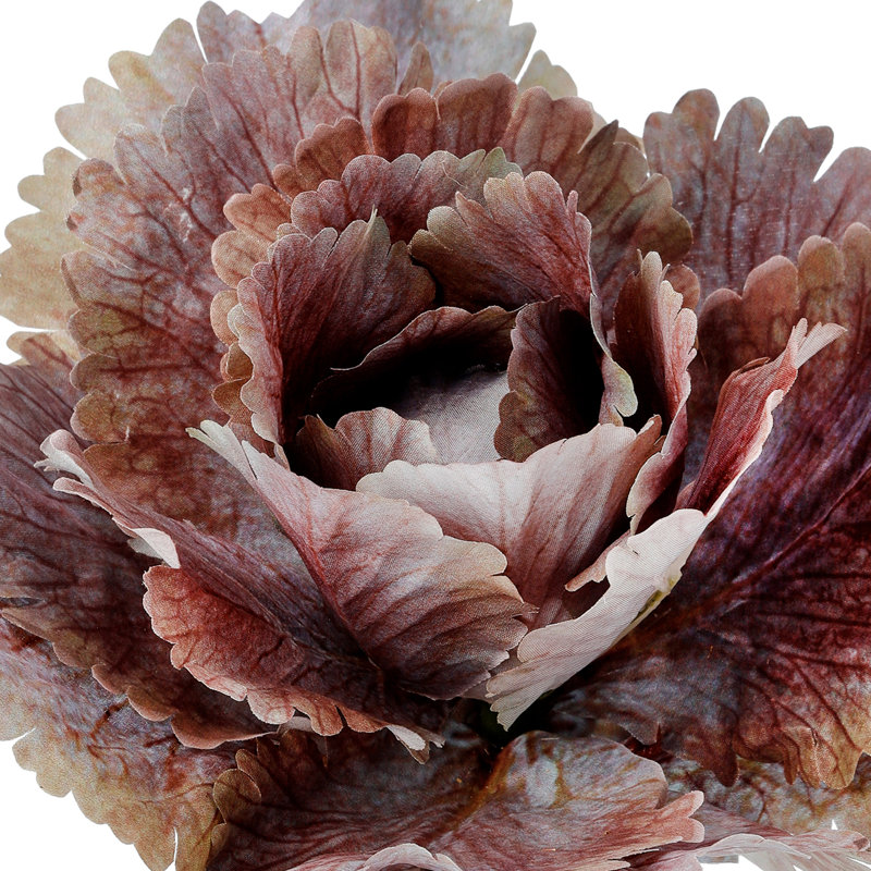 10" Autumn Cabbage Stem, Purple