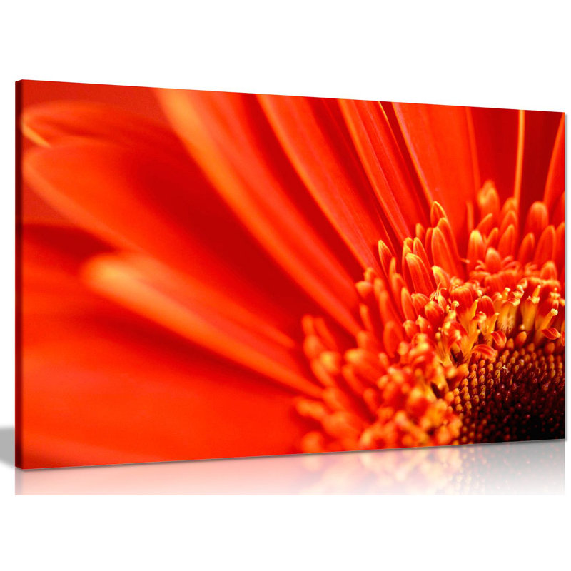 Wrapped Canvas Print, 41cm H x 61cm W