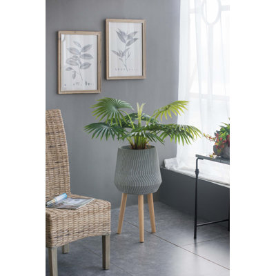 Support pour plante d'intérieur et d'extérieur en ciment 14,6 x 14,6 x 28 po
