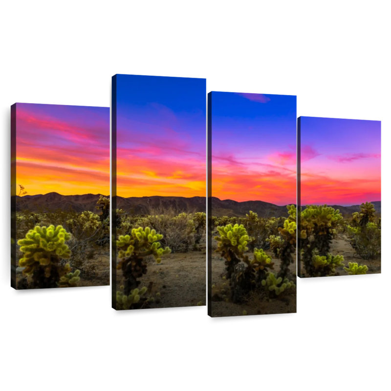 Joshua Park Cactus, 48" H x 75" W