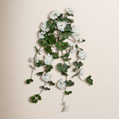 Earle UV Resistant Geranium Hanging Plant