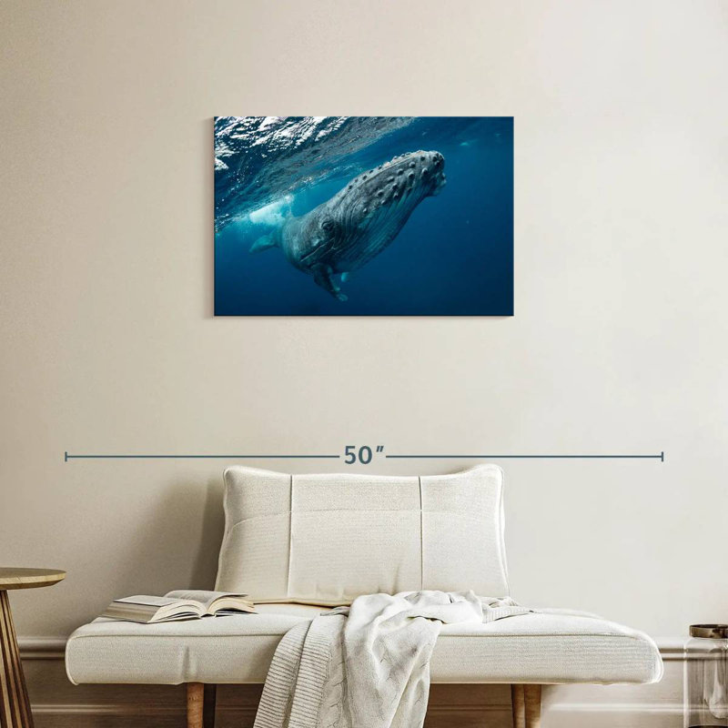 Whale Near Surface, 20" H x 30" W