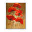 Coquelicots rouges Salm III-375857203-375857225