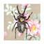 Papier peint moderne et contemporain Beetle-1857191230