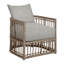 Newport Arm Chair with Cushions-84544964-63361404-93646472