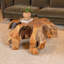 Table basse Bisbee