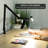 LED Desk Lamp With Swing Arms