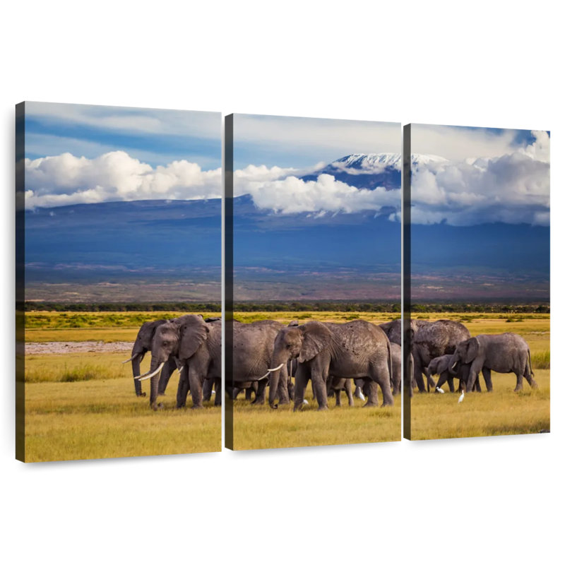 Ronce d'éléphants près du mont Kilimandjaro, H 24 po x l 38 po