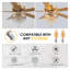 Ventilateur de plafond 52 pouces à 5 pales en cristal avec télécommande et lumière-283039325-283039314