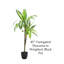 Arbre Dracaena en soie 40 po