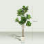 180cm Plant