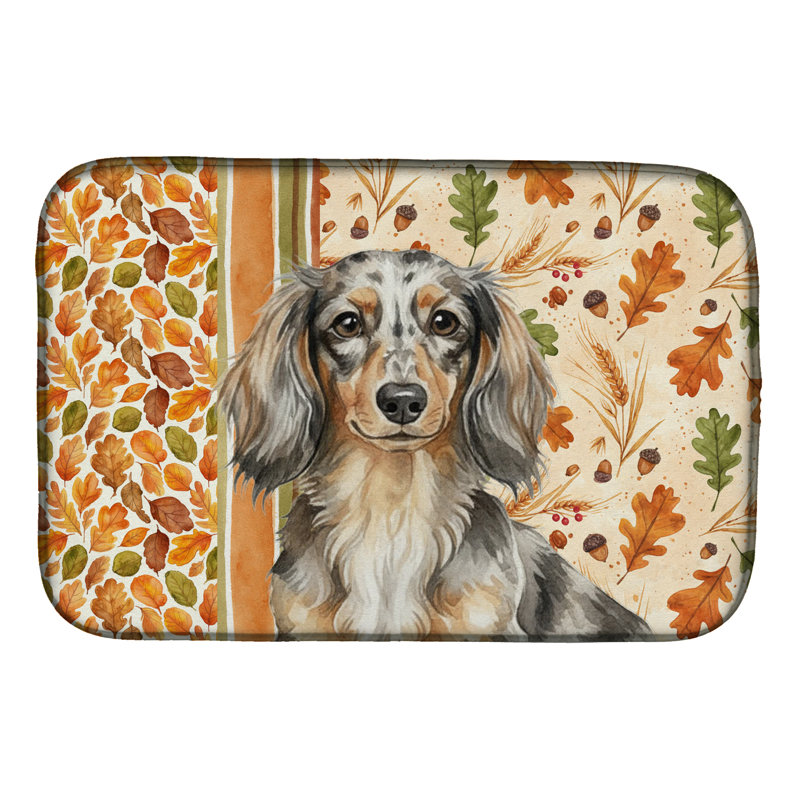 Tapis de séchage d'automne à poils longs et teckel