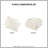 Animal Chenille Comforter Set-114528982