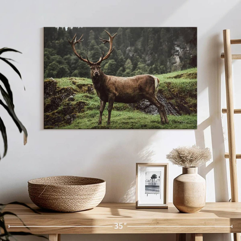 Brampt Majestic Mountain Deer, 16" H x 24" W
