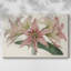 Toile tendue Amaryllis Varietals I-Gallery-1358055594