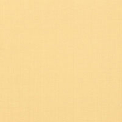 Avery Cotton Plain Fabric