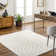 Aley Oriental Area Rug