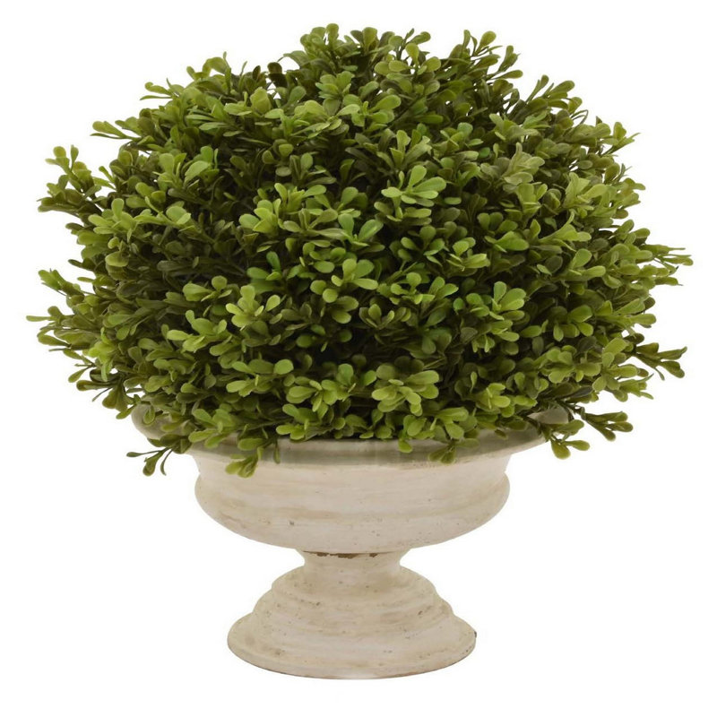 Cezalina Urn Planter