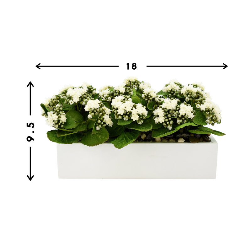 Kalanchoe Arrangement in Fiberstone Planter, White, 9.5" H x 18" W x 9.5" D