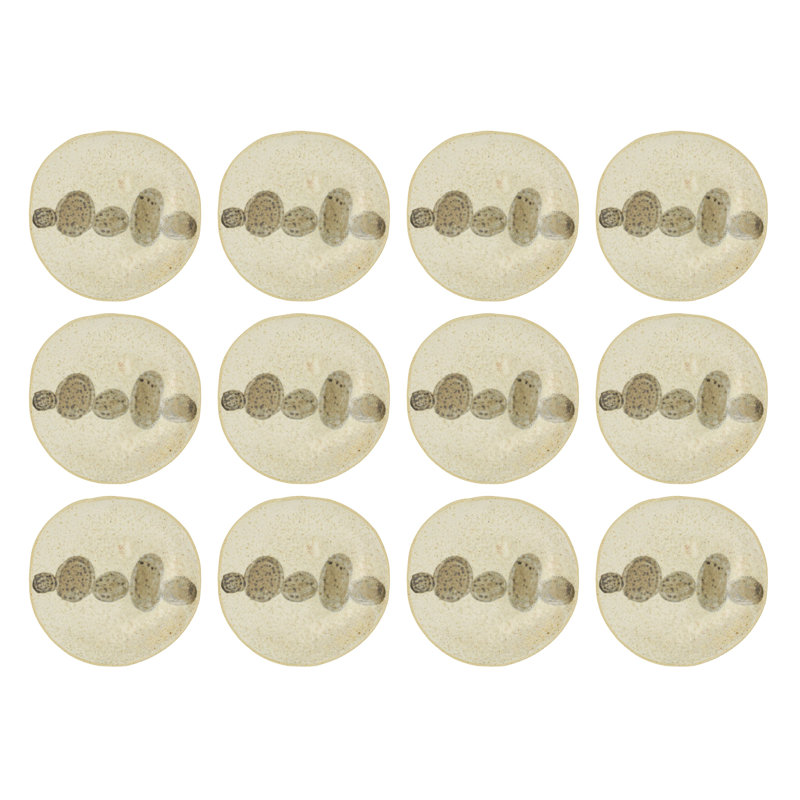 Stoneware Accent Plates With Organic Pebble Design