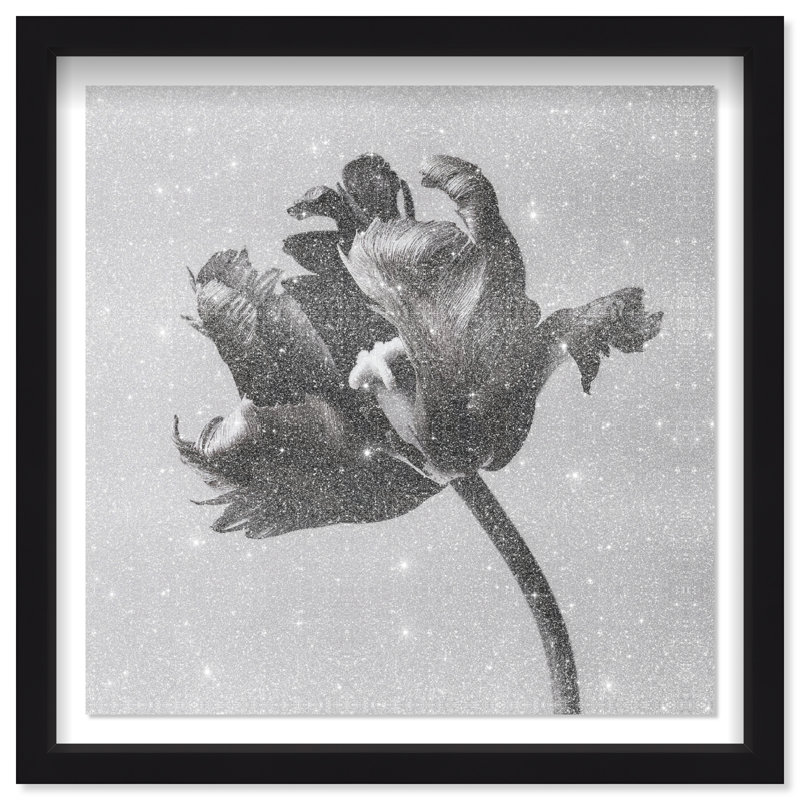 Tidal Wilt I Print by Oliver Gal, 17.5"H x 17.5"W, Black Shadowbox