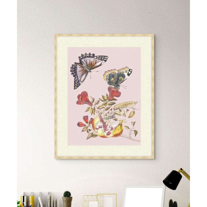Fruit And Flutterby 1 Print, 28.75" H x 23.75" W