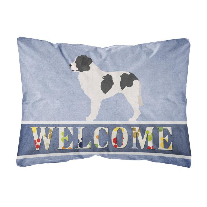  Coussin décoratif intérieur / extérieur Landseer