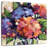 Avery Multi Hydrangeas-109207435